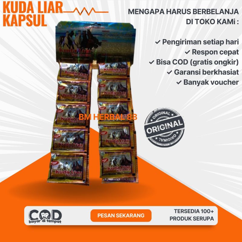 Kuda Liar Sumbawa Kapsul