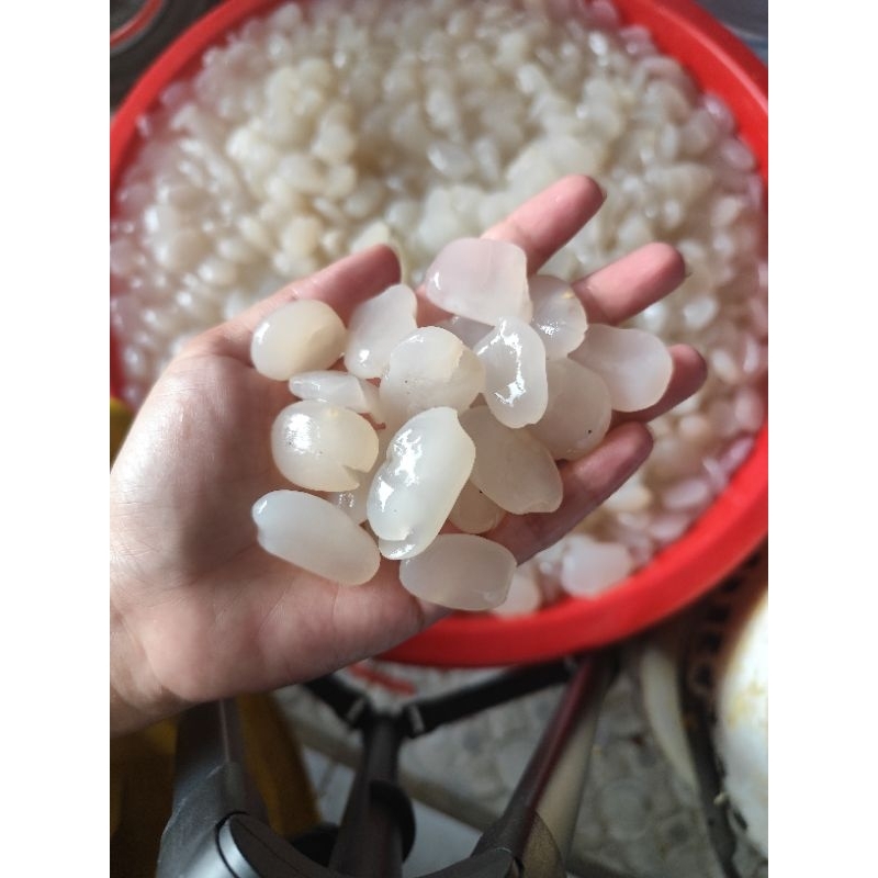 

kolang-kaling fresh 2kg free toples