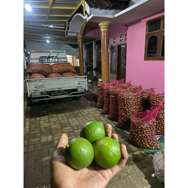 

jeruk nipis segar 1 KG