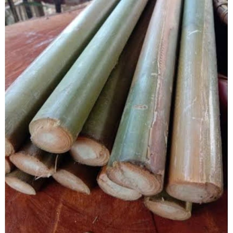 

Batang kecombrang batang honje segar 1 kg-az