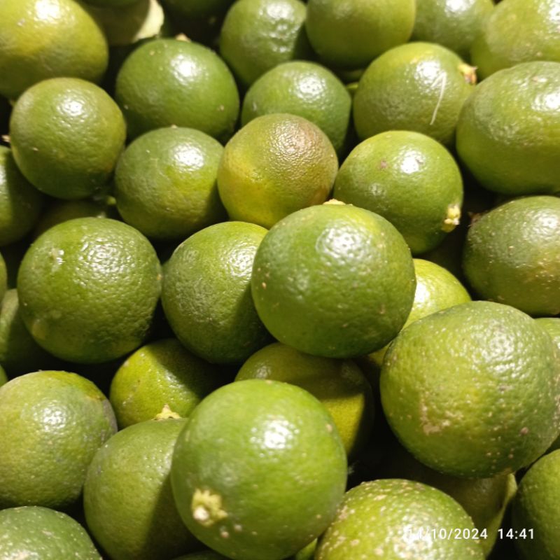 

jeruk sambal / jeruk limau 500gram