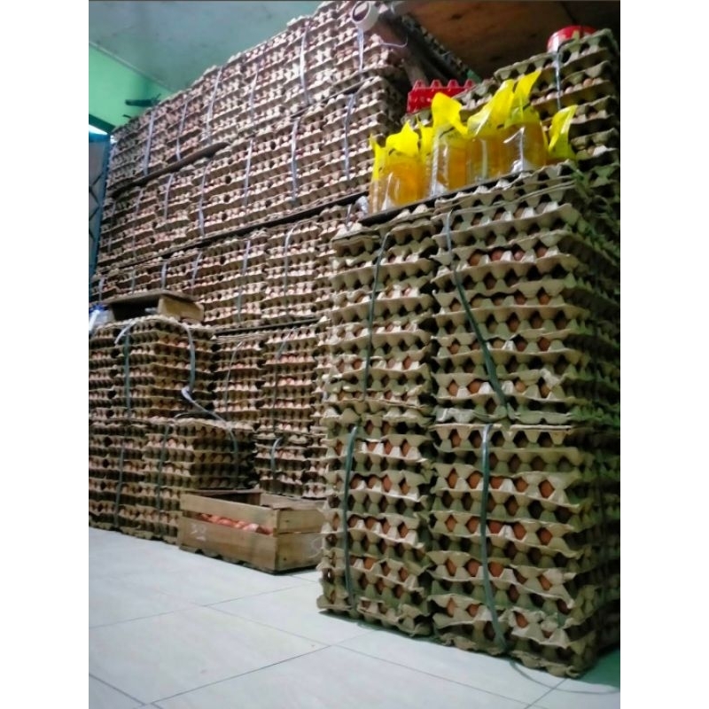 

Telur Ayam Negeri Fresh 15 KG