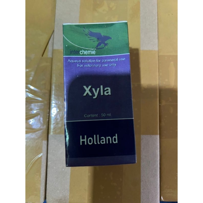 

XYLA HOLLAND 50 ML ASLI ORIGINAL