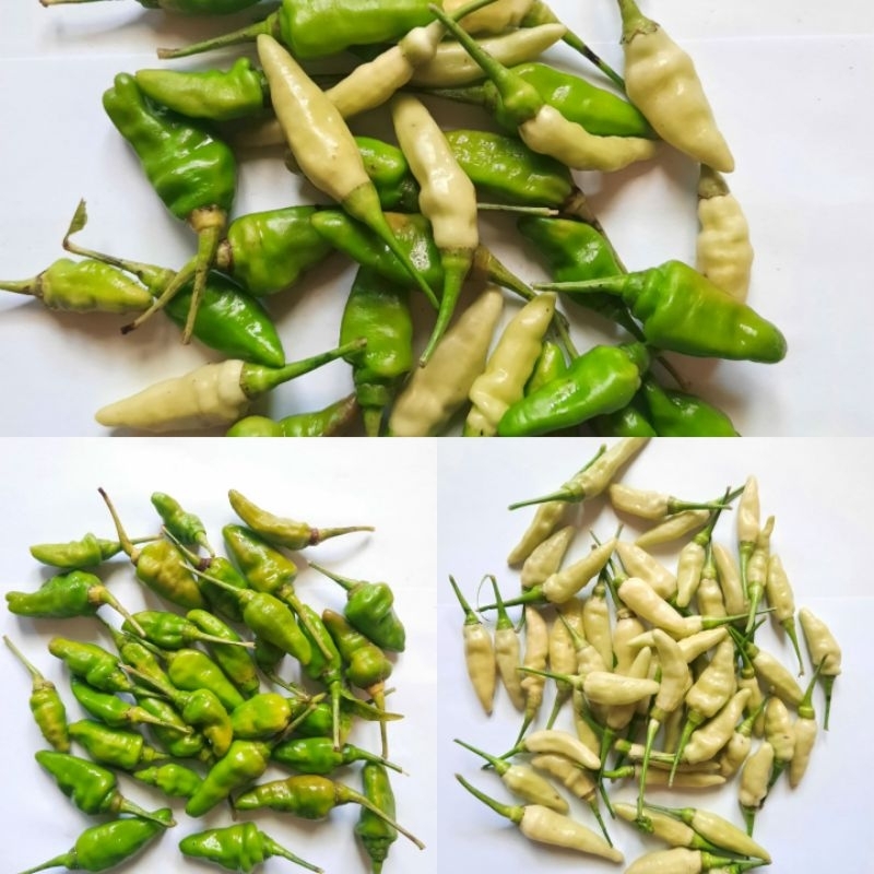 

Cabe Rawit Putih/Cabe Rawit Hijau/Cabe Rawit Campur/Cabe Segar/Cabe Murah