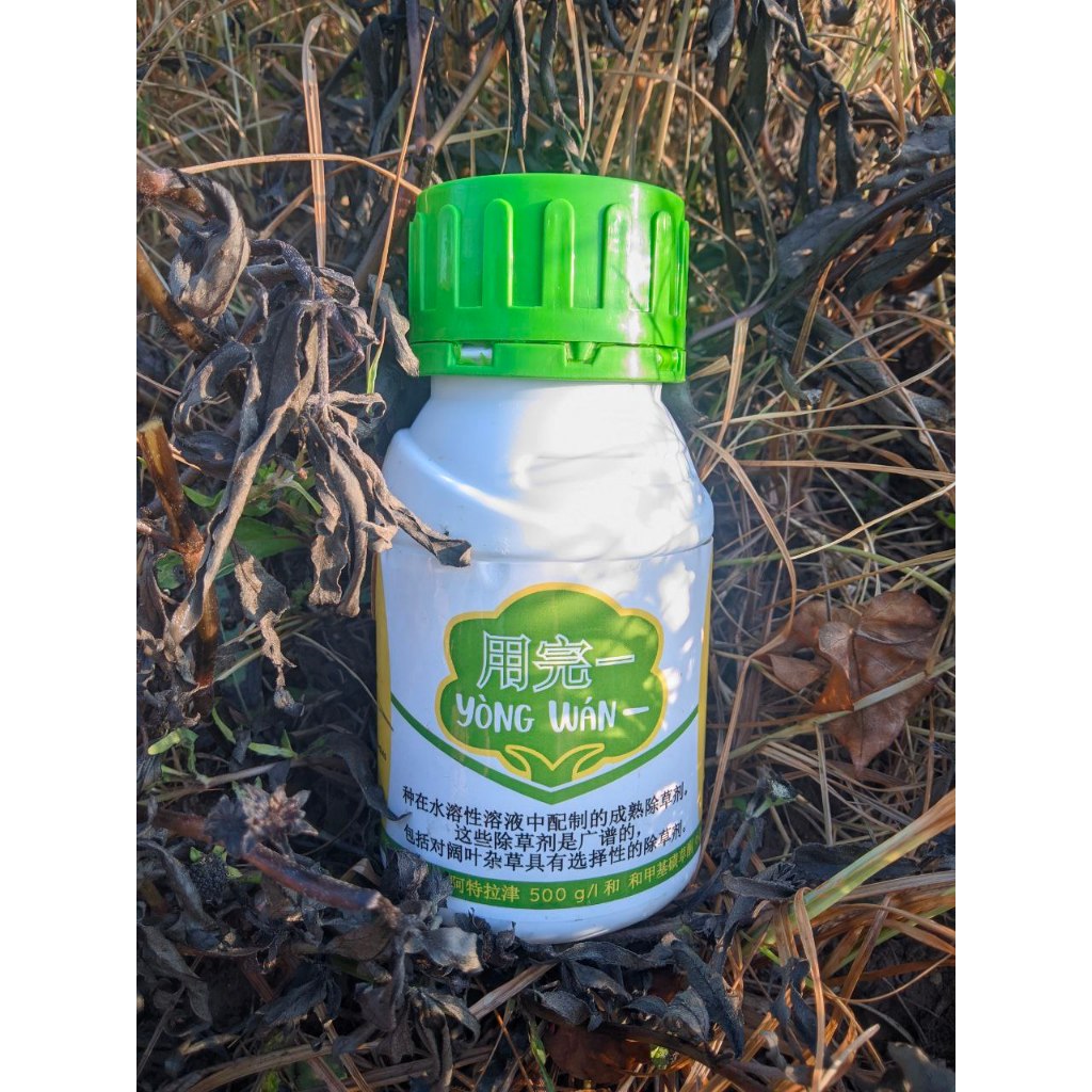 YONGWAN / YONG WAN HERBISIDA RACUN RUMPUT GULMA AMAN PADA TANAMAN PADI KARET SAWIT JAGUNG TEBU DLL