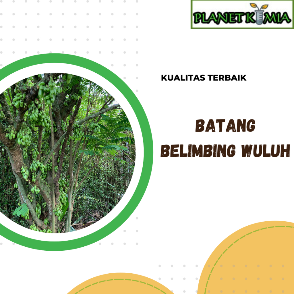 

dried,serbuk batang belimbing wuluh best product