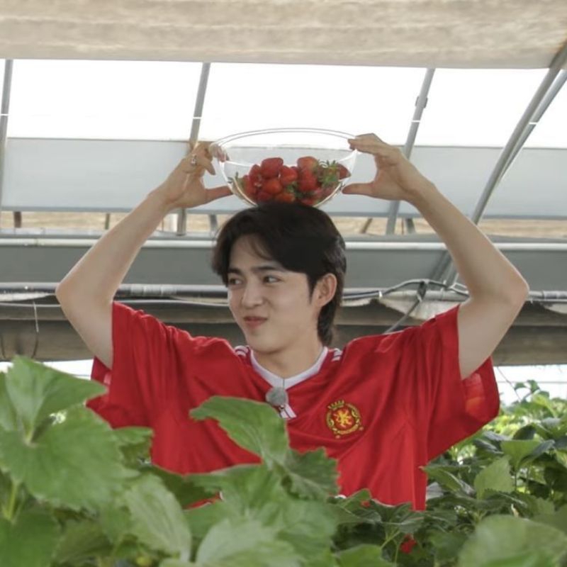 carzone woozi scoups