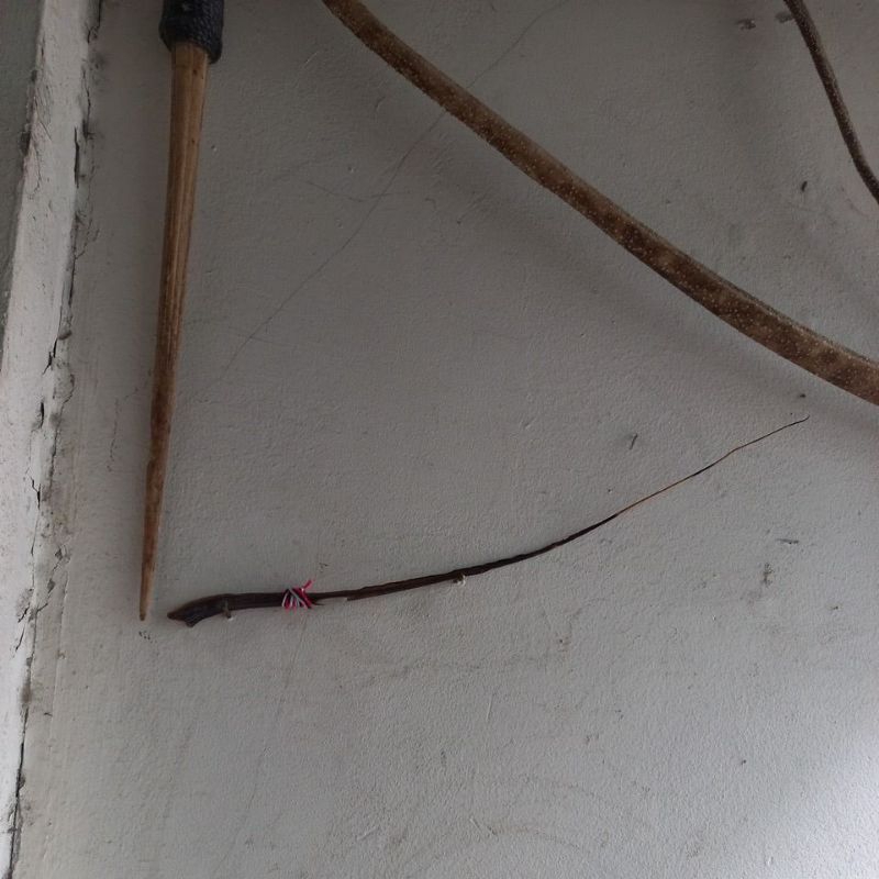 ikuh pai poleng ekor pari