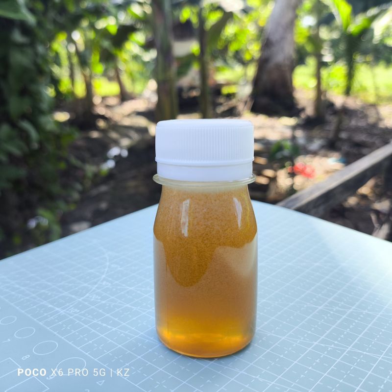 

Madu Kelulut