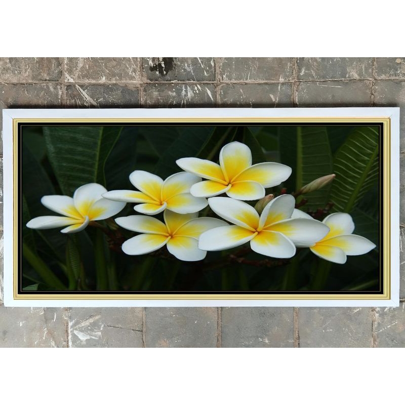 hiasan dinding lukisan cetak bunga jepun bali plus bingkai uk 105*55