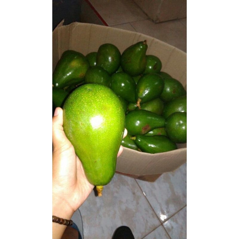 

Alpokat/Alpokat mentega