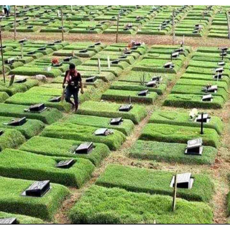 Paket Taman Makam+Nisan+Pasang/ Rumput makam JABODETABEK