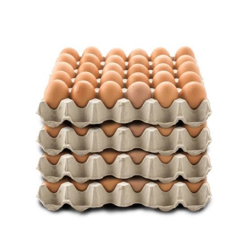 

TelurOmegaEgg