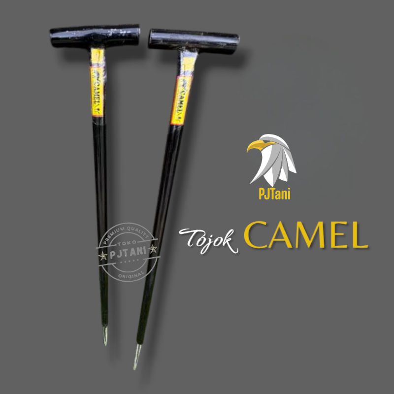 Tojok Sawit Camel / Galvanis