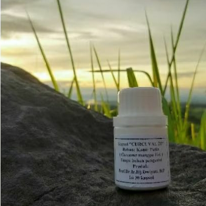 Kapsul Kunir Putih CURCUVAL DP Prof Dwiyati Pujimulyani
