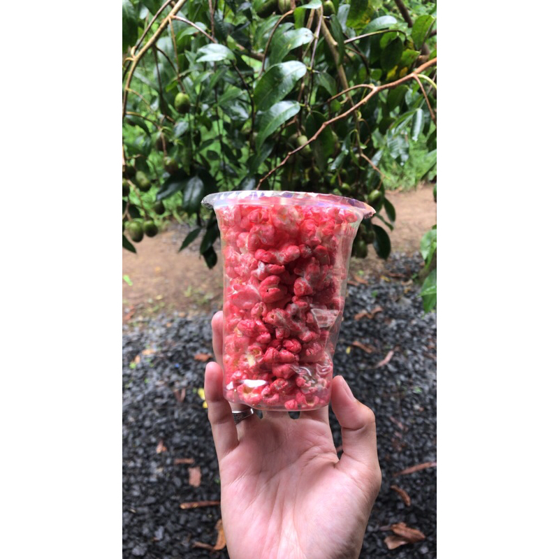 

popcorn cup berbagai macam varian