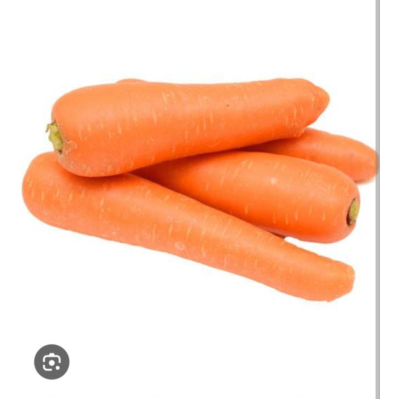 

Sayur Wortel Brastagi Segar ½kg - 500gram / Sayur Wortel Berastagi Segar½kg - 500gram