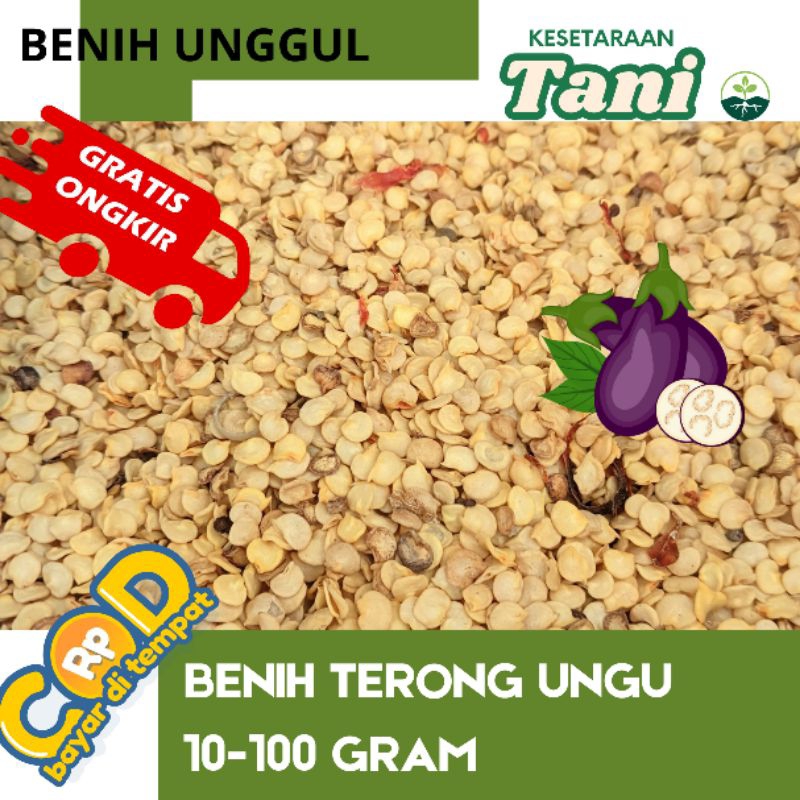 

100 gram biji terong ungu