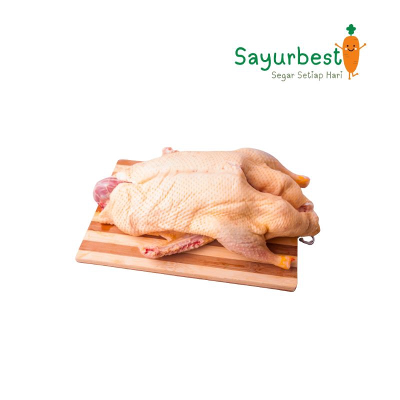 

(PO KIRIM BESOK) Bebek Segar Potong 1 ekor