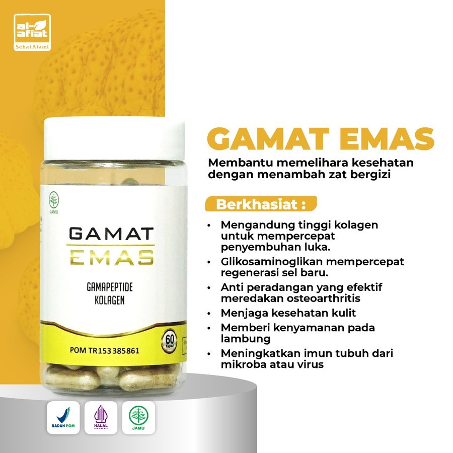 GAMAT EMAS AL AFIAT KAPSUL EKSTRAK GAMAT 60 KAPSUL