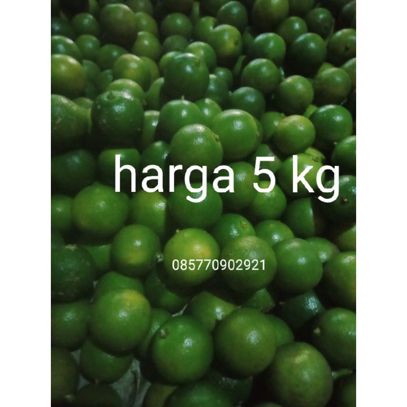 

jeruk sonkit / lemon cui / kasturi/jeruk peras harga tertera 5 kg