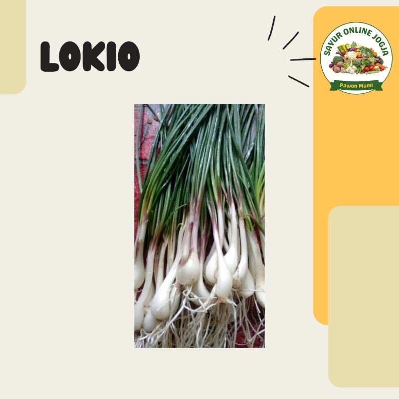 

Lokio daun bawang Batak - PAWON MAMI SAYUR ONLINE JOGJA