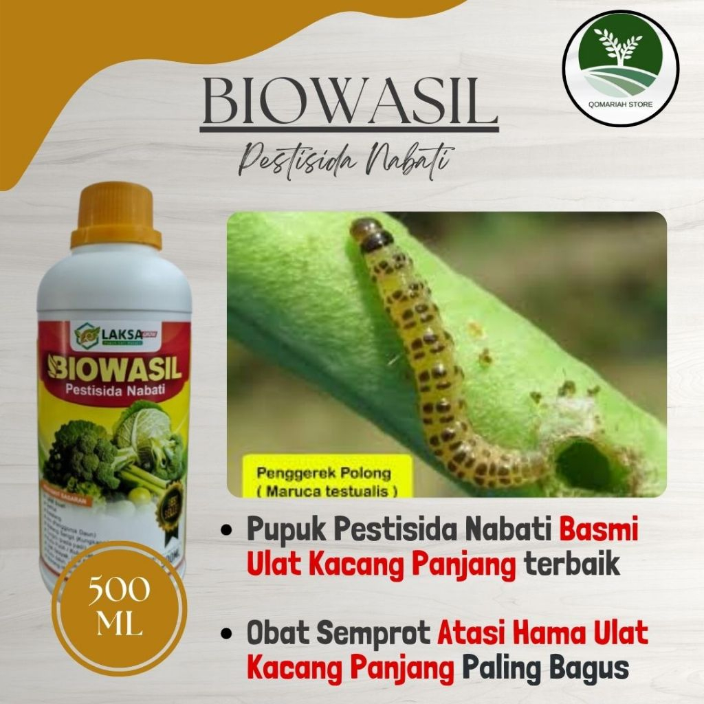 OBAT PEMBASMI ULAT KACANG PANJANG - BIOWASIL 500ML Pupuk pestisida atasi hama ulat pada tanaman kaca