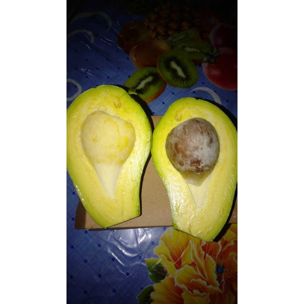 

ALPUKAT MENTEGA LOKAL 1KG ISI 3bh