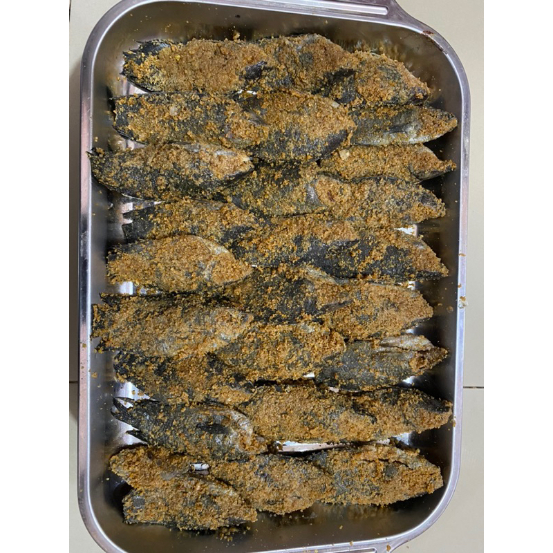 

IKAN SAMU SEPAT DAN PAPUYU