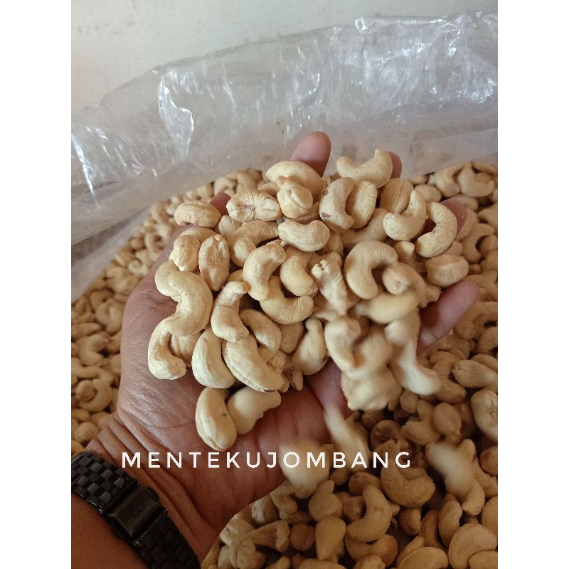 

Mente Utuh Mentah kualitas premium