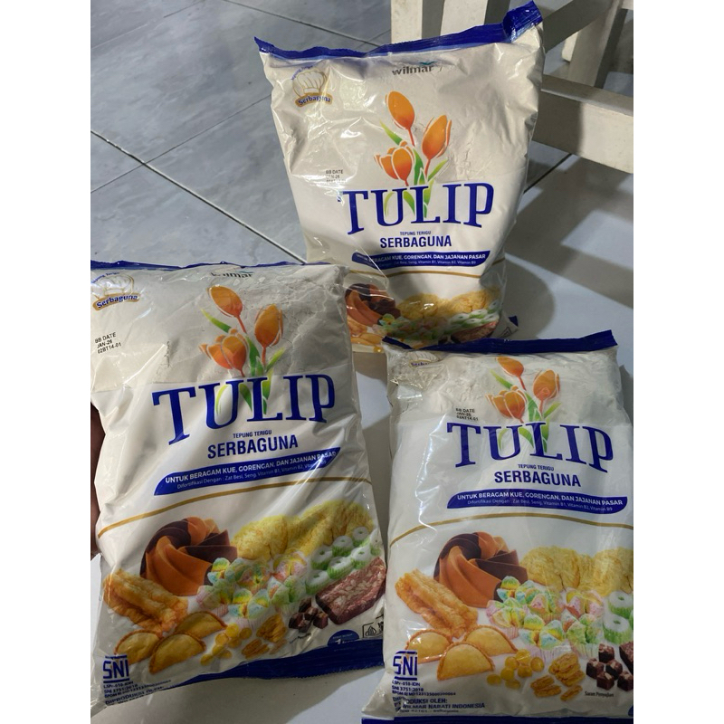 

Tulip