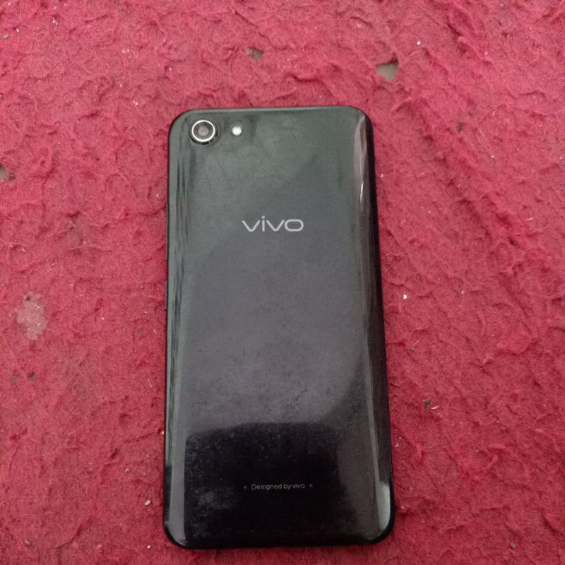vivo matot