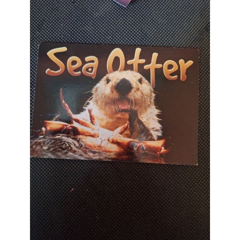 

Kartu pos ilustrasi/Sea otter Postcard