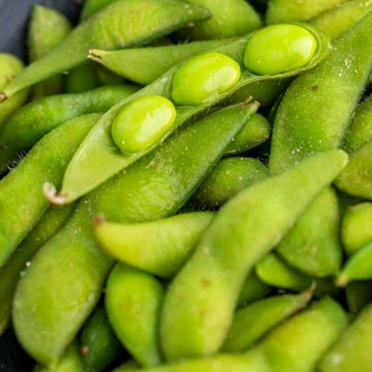 Edamame fresh organik 500 gr