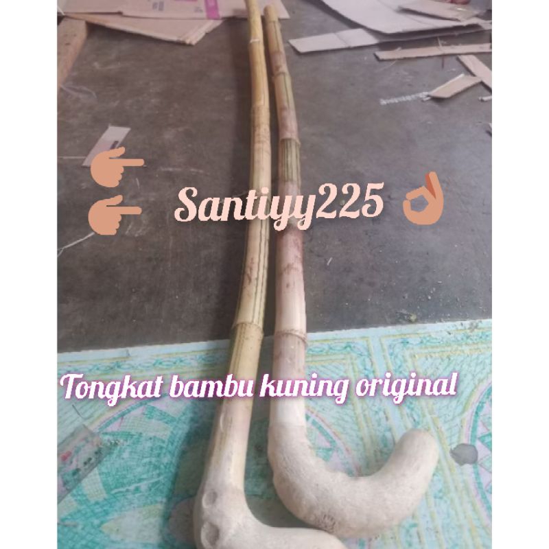 tongkat bambu kuning asli tongkat unik per buah