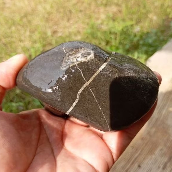 Rough batu tapak jalak srigunting dan kendit 562gr