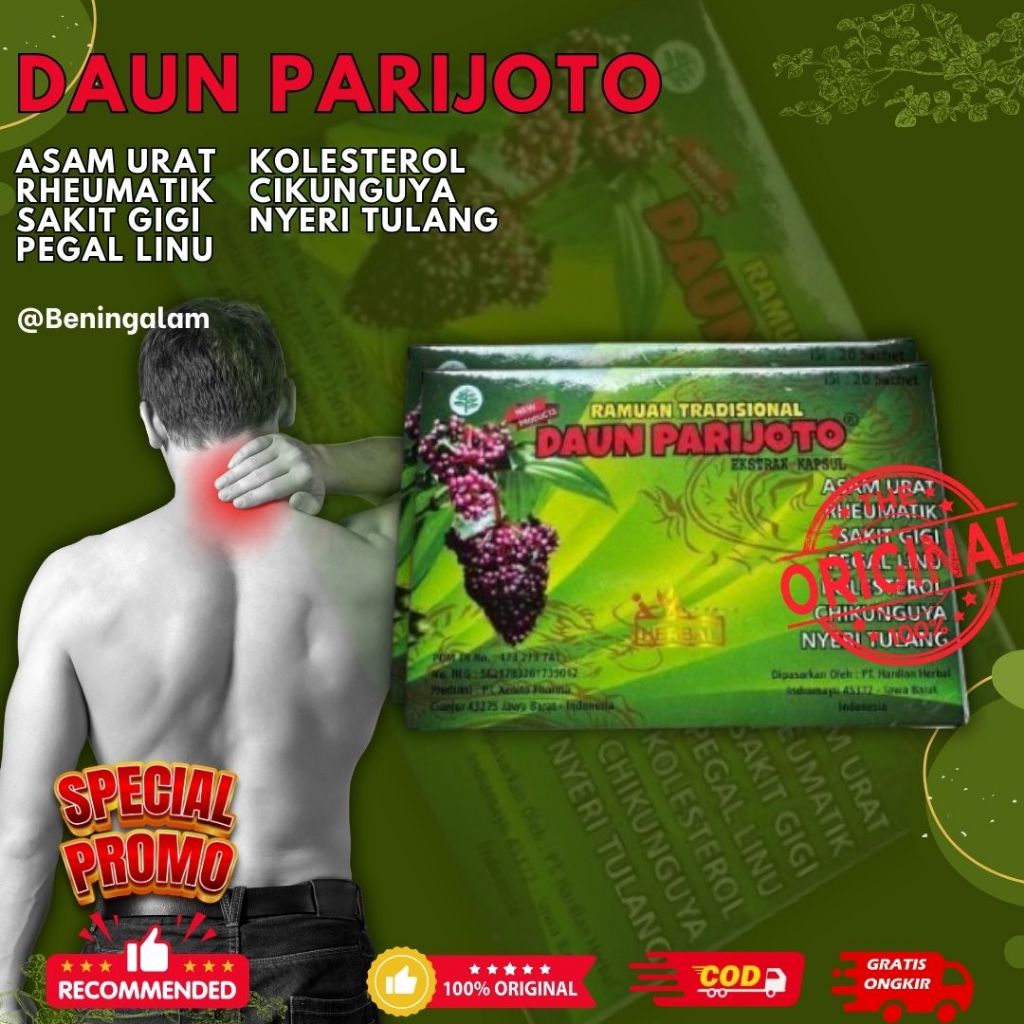 

Herbal Daun Pajiroto Asam Urat Nyeri Sendi Original