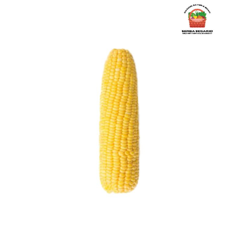 

Jagung Manis Satu Buah