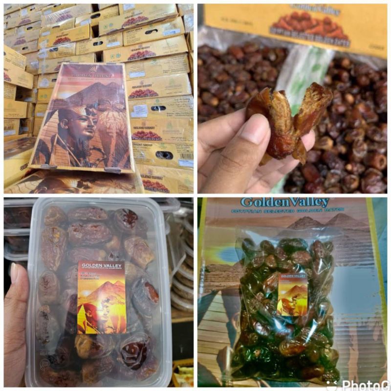 

KURMA
