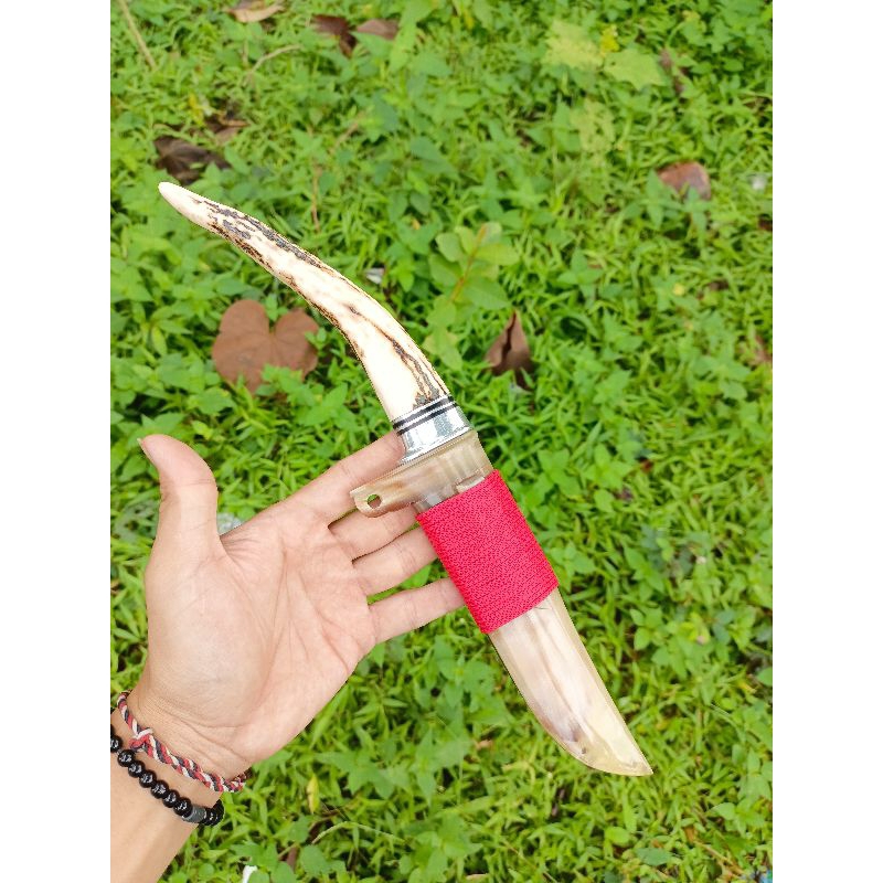 Sekiner bohler fullTandukBule