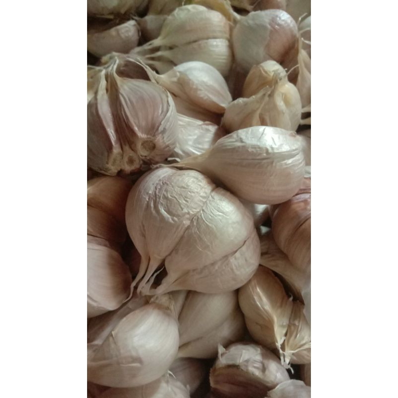 

bawang putih kating 0,5kg