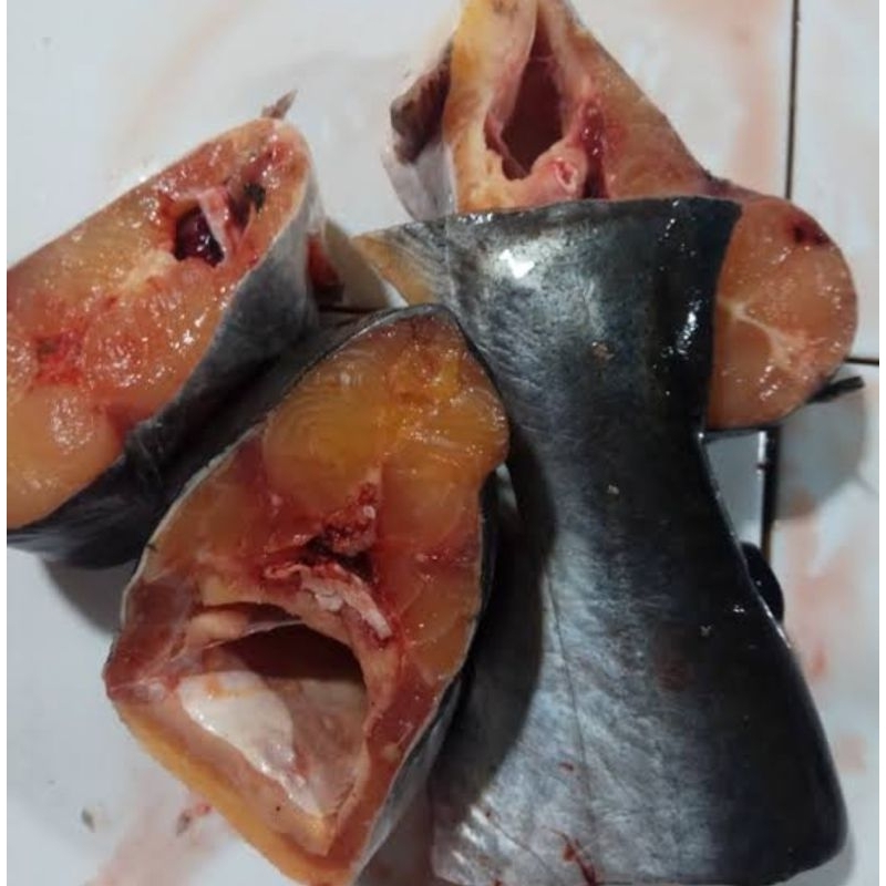 

ikan patin 500 gram