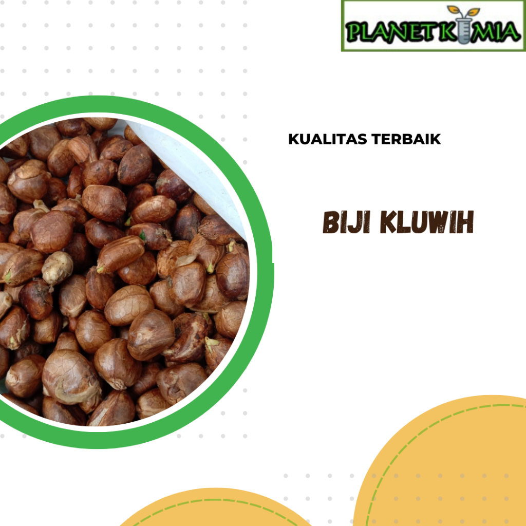 

ekstrak biji kluwih best product