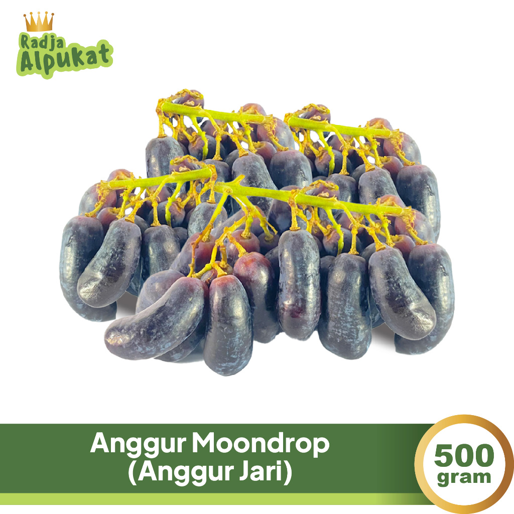 

Anggur Hitam Moondrop / Anggur jari, Non Biji Kemasan 500 Gram