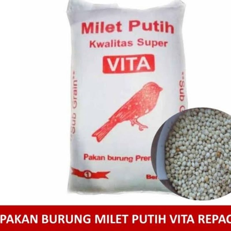 MILET PUTIH Pakan Burung Lovebird Perkutut Milet Putih Vita