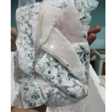 

Frozen Kakap Putih ±500gr MURAH