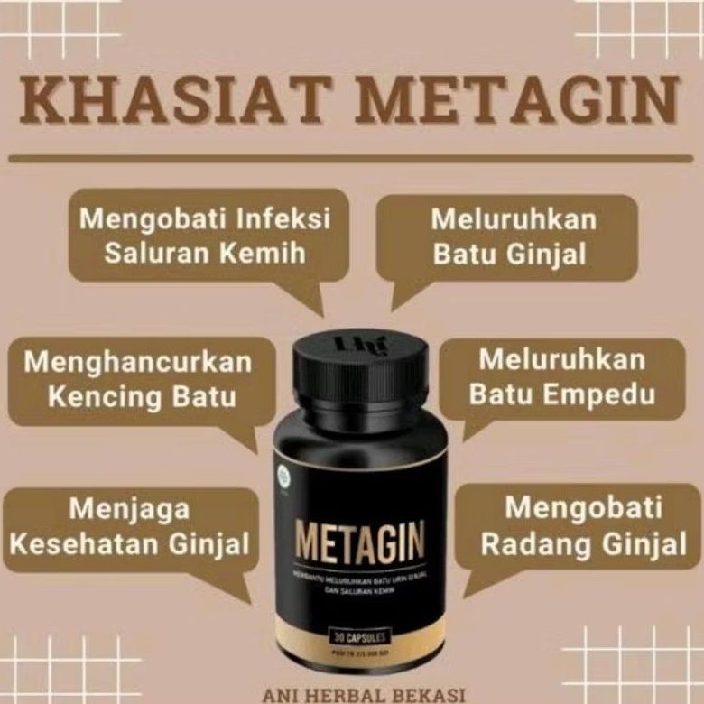 METAGIN Original Obat Batu Ginjal Penghancur Batu Ginjal Terampuh BPOM