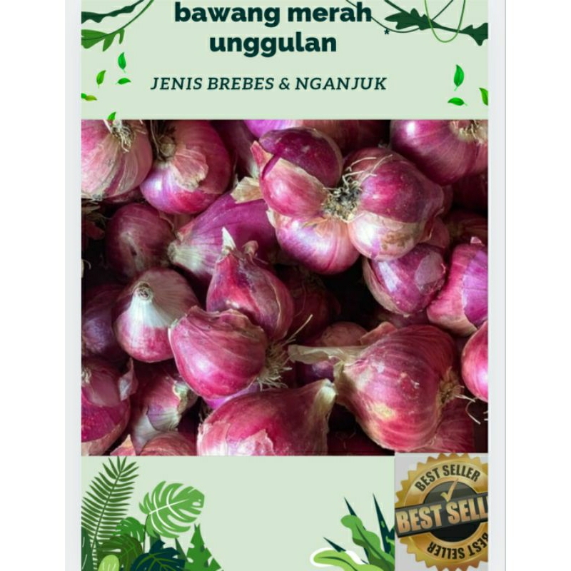 

bawang merah unggulan harga grosir 30rb/kg. kering dan bersih