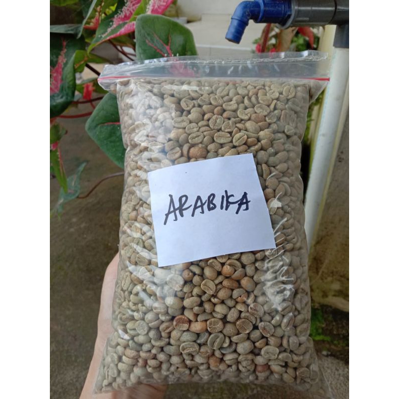 

Biji Kopi Arabika Sajang Sembalun 1 kg