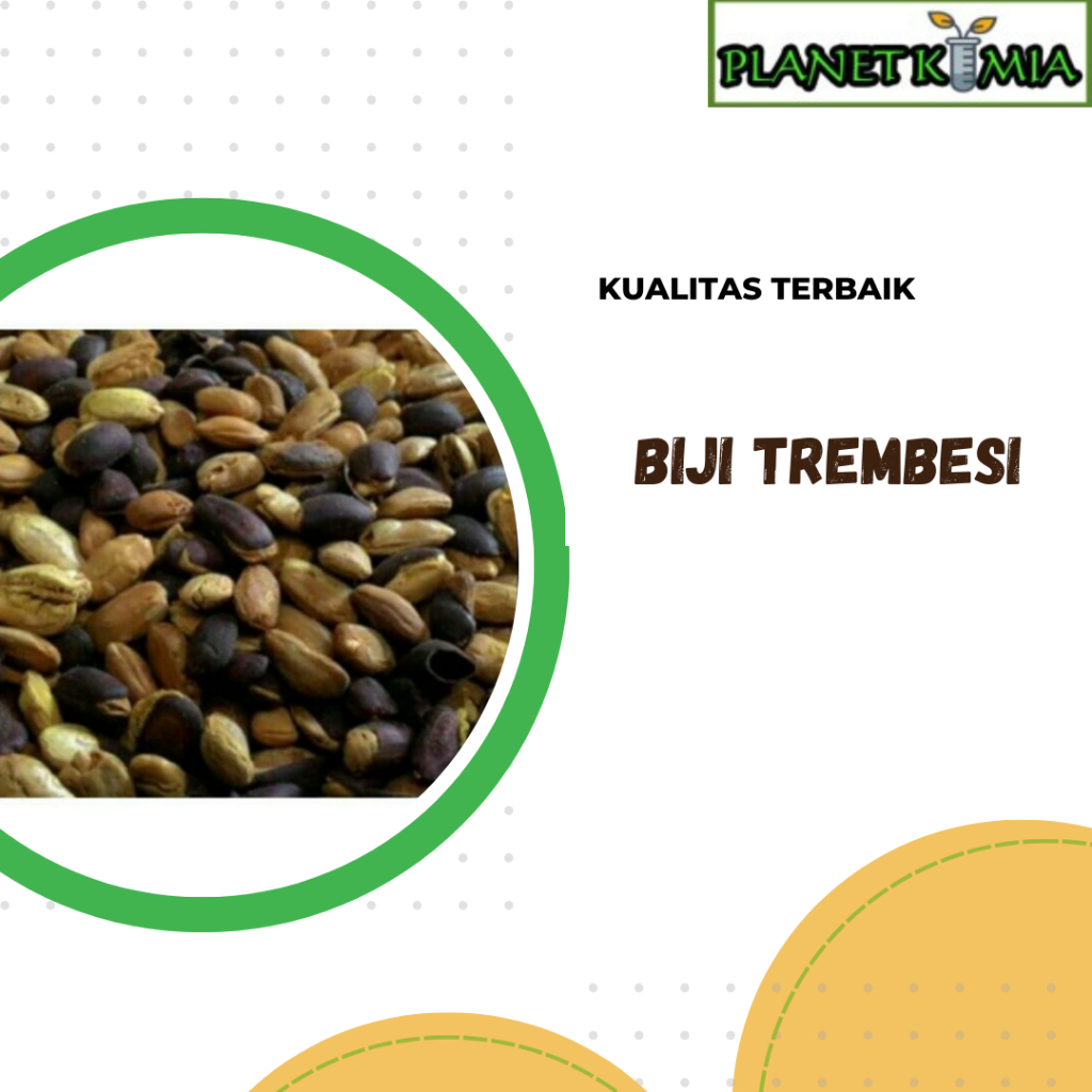 

ekstrak biji trembesi best product